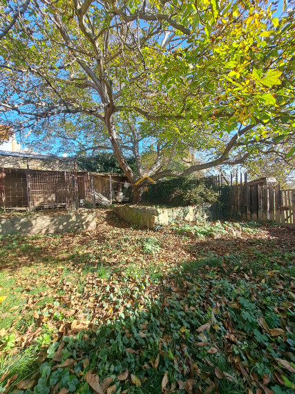 Na predaj: Meštiansky dom v historickom srdci Levoče - investícia do budúcnosti, domov pre vaše sny