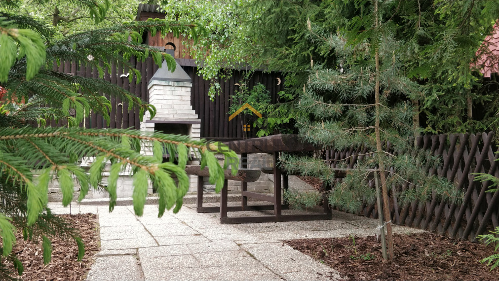 Chata pri Lese Dubina V.