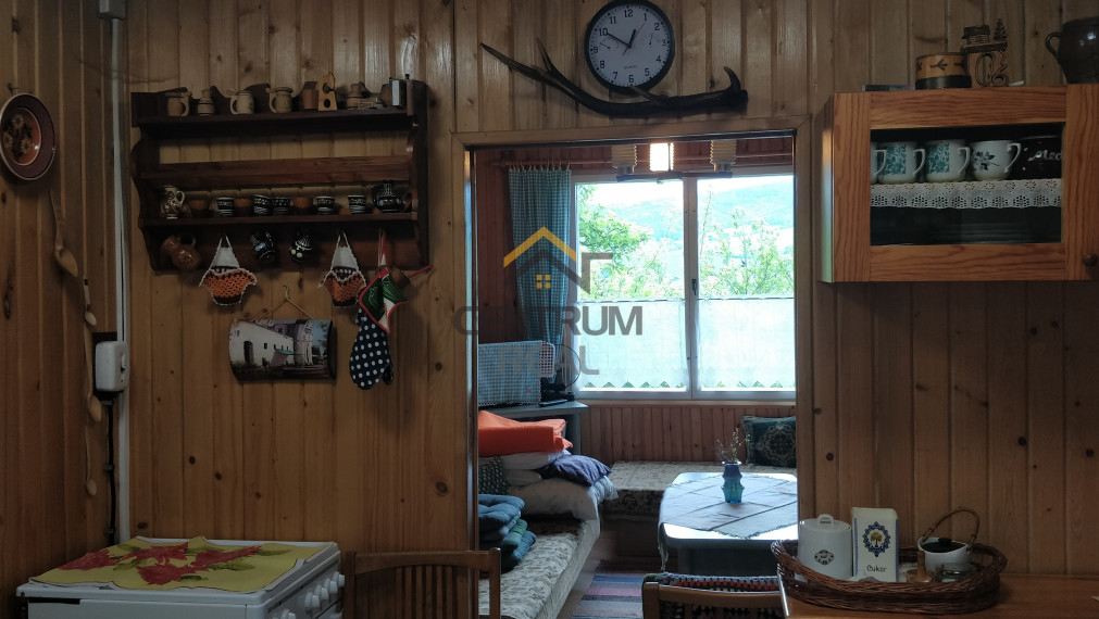 Chata pri Lese Dubina V.