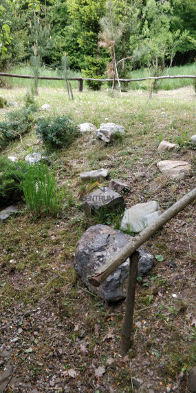 Chata pri Lese Dubina V.