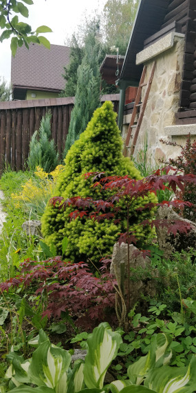 Chata pri Lese Dubina V.