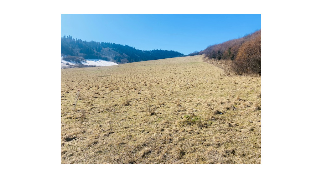 NA PREDAJ: Investičné pozemky vo Vyšných Ružbachoch