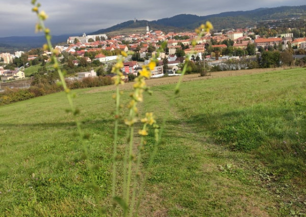 Pekný dom neďaľeko Levoče