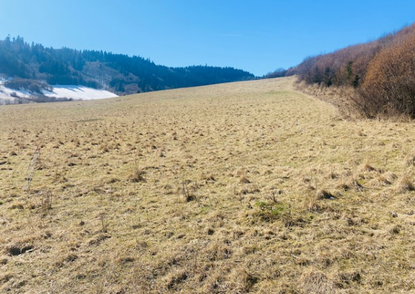 NA PREDAJ: Investičné pozemky vo Vyšných Ružbachoch