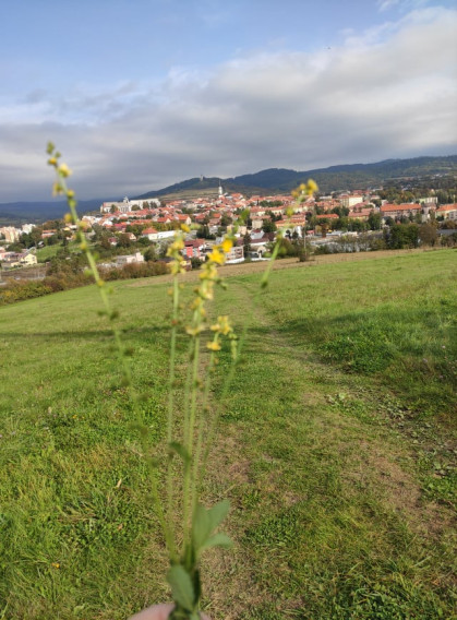 Pekný dom neďaľeko Levoče